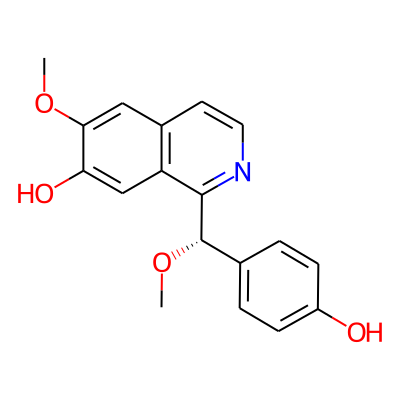 Annocherine B