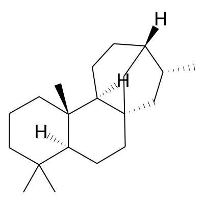 Kaurane