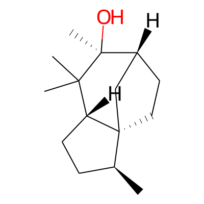 Jinkohol