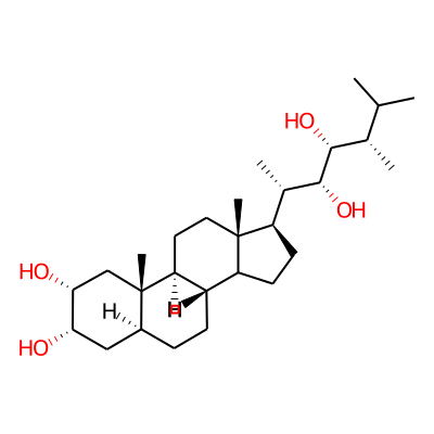 (2R,3S,5S,8R,9S,10S,13S,17R)-17-[(2S,3R,4R,5S)-3,4-dihydroxy-5,6-dimethylheptan-2-yl]-10,13-dimethyl-2,3,4,5,6,7,8,9,11,12,14,15,16,17-tetradecahydro-1H-cyclopenta[a]phenanthrene-2,3-diol