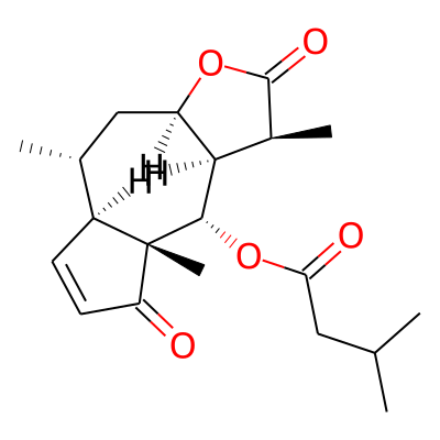 6-O-isovaleryldihydrohelenalin