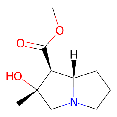 Isotussilagine