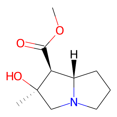 Tussilagine