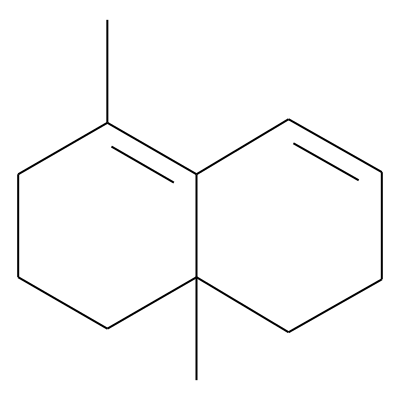 Cogeijerene