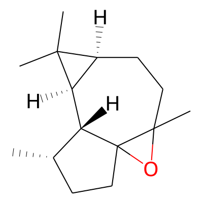 Ledene oxide