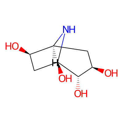 Calystegine B1