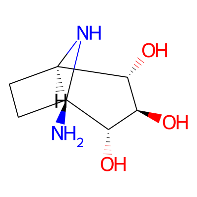 (1S,2R,3R,4S,5R)-1-amino-8-azabicyclo[3.2.1]octane-2,3,4-triol