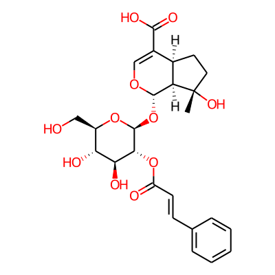 2'-Cinnamoylmussaenosidic acid