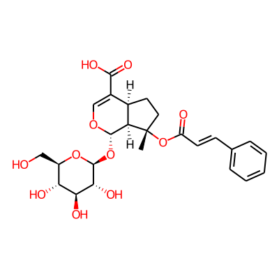 8-O-Cinnamoylmussaenosidic Acid