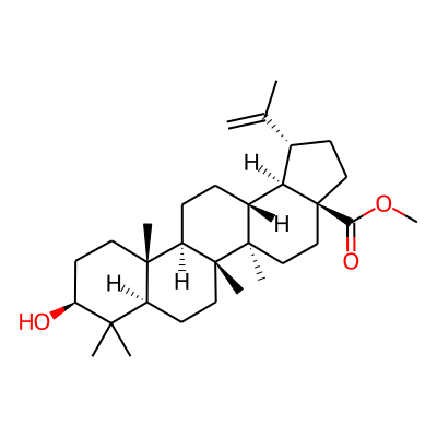 Methyl betulinate