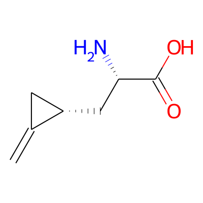 Hypoglycin