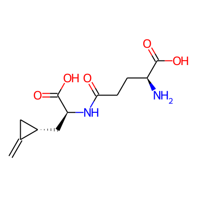 Hypoglycine B
