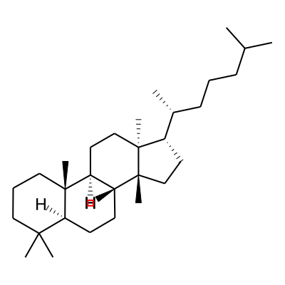Euphane