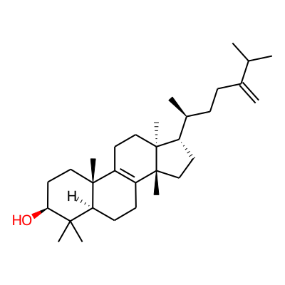 Euphorbadienol