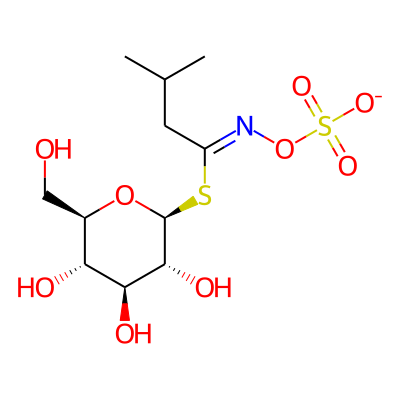 2-Methylpropylglucosinolate