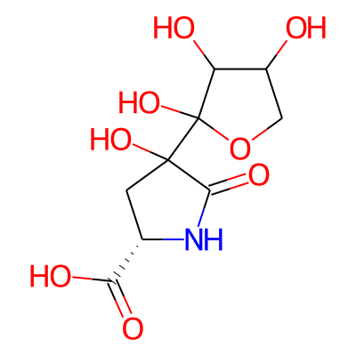 (2S)-4-hydroxy-5-oxo-4-(2,3,4-trihydroxyoxolan-2-yl)pyrrolidine-2-carboxylic acid