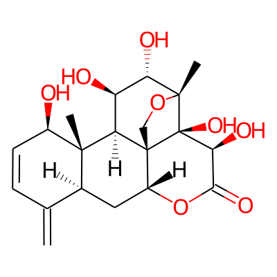 Bruceene