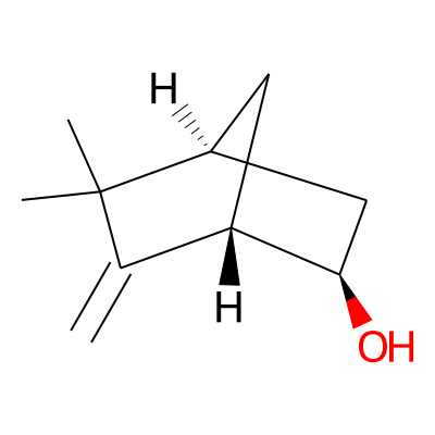 6-Camphenol