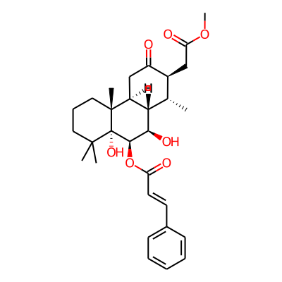 Pulcherralpin