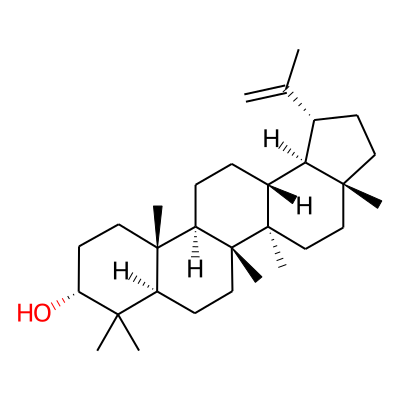Epilupeol