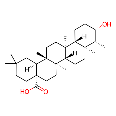 Canophyllic