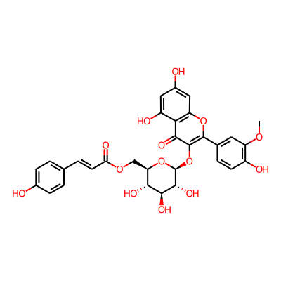 isorhamnetin 3-O-(6'-O-p-coumaroyl)-glucoside