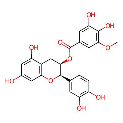 Epicatechin 3-O-(3-O-methylgallate)
