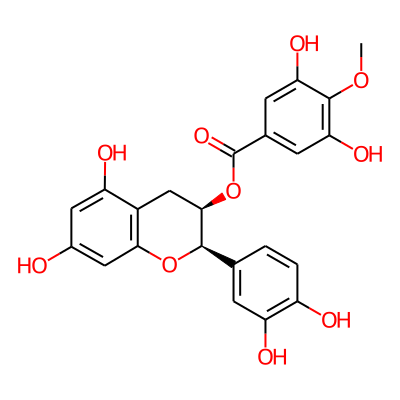 Epicatechin 3-O-(4-O-methylgallate)