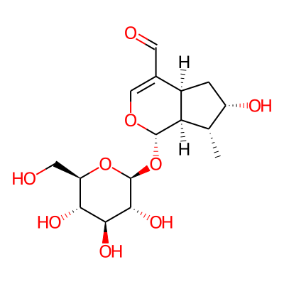 Cachineside I