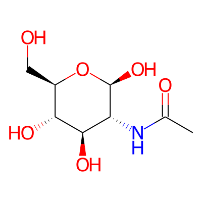 2-acetamido-2-deoxy-beta-D-glucopyranose