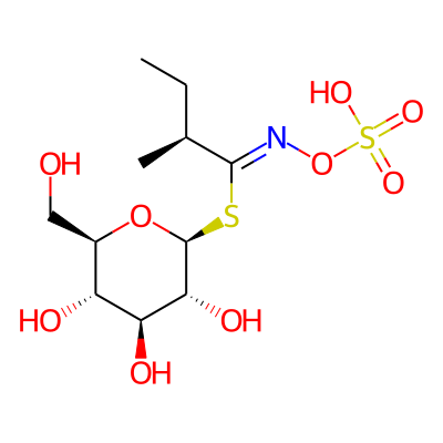 [(2S,3R,4S,5S,6R)-3,4,5-trihydroxy-6-(hydroxymethyl)oxan-2-yl] (1Z,2S)-2-methyl-N-sulfooxybutanimidothioate