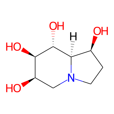 6-Epicastanospermine