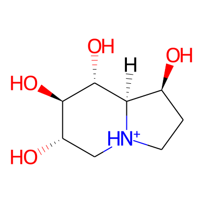 6,7-Diepicastanospermine