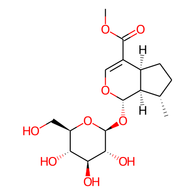 Deoxyloganin