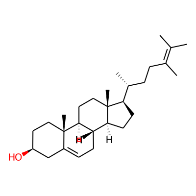 24-Methyldesmosterol