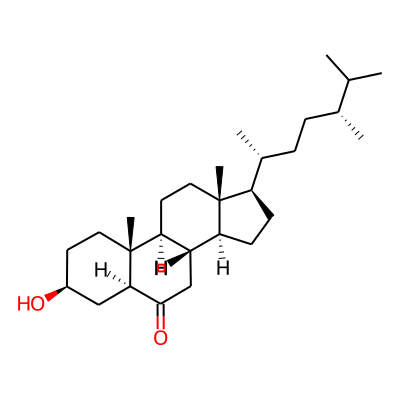 6-Oxocampestanol