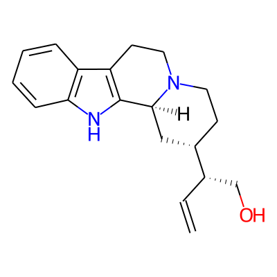Antirhine