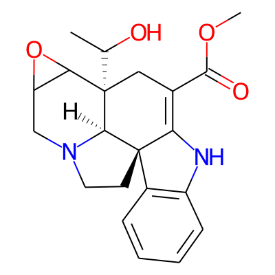 Horhammericine
