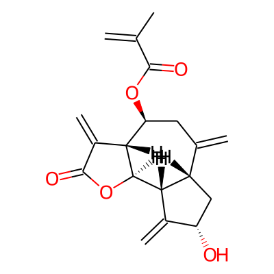 Aguerin B