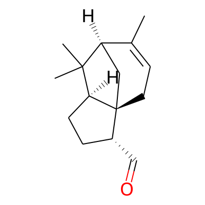 Funebren-15-al