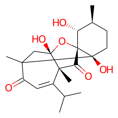 Cinncassiol C2