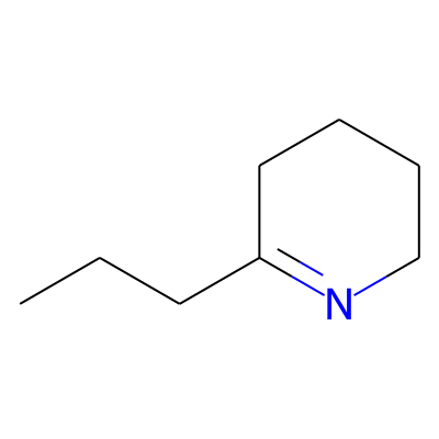 gamma-Coniceine