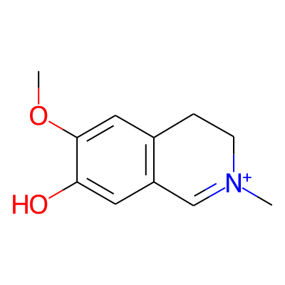 Pycnarrhine