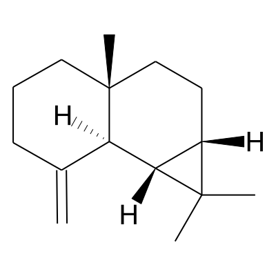 gamma-Maaliene