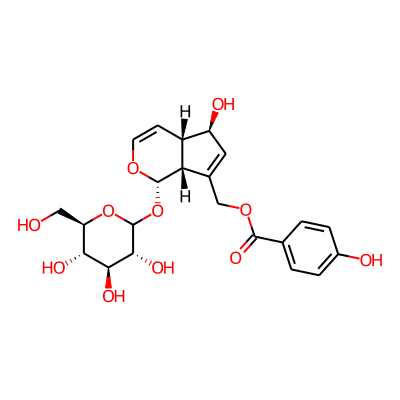 [(1S,4aS,5R,7aR)-5-hydroxy-1-[(3R,4S,5S,6R)-3,4,5-trihydroxy-6-(hydroxymethyl)oxan-2-yl]oxy-1,4a,5,7a-tetrahydrocyclopenta[c]pyran-7-yl]methyl 4-hydroxybenzoate