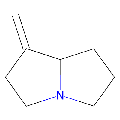 1-Methylenepyrrolizidine