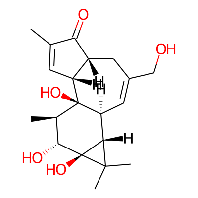 Deoxyphorbol