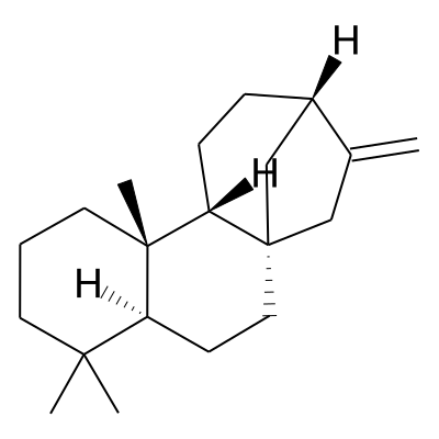 (+)-Phyllocladene