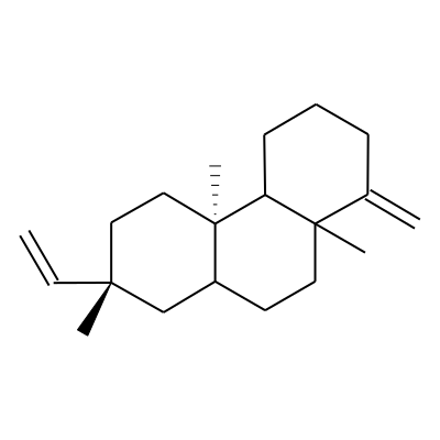 13-epi-Dolabradiene