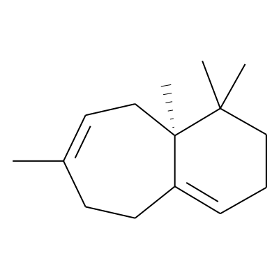 Pseudowiddrene